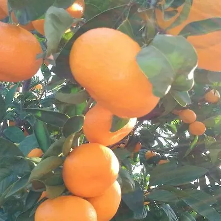 Blue Lagoon * 特罗吉尔