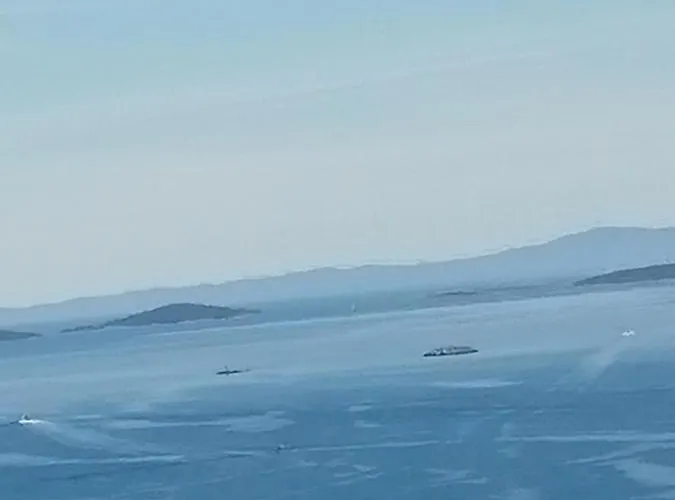 Blue Lagoon 公寓 特罗吉尔