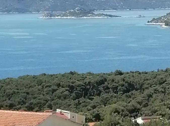 Blue Lagoon * 特罗吉尔