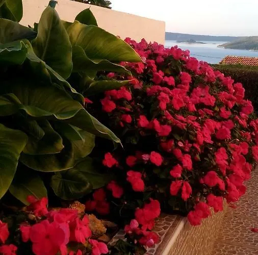 Blue Lagoon 公寓 *