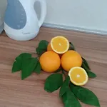 Daire Blue Lagoon Trogir