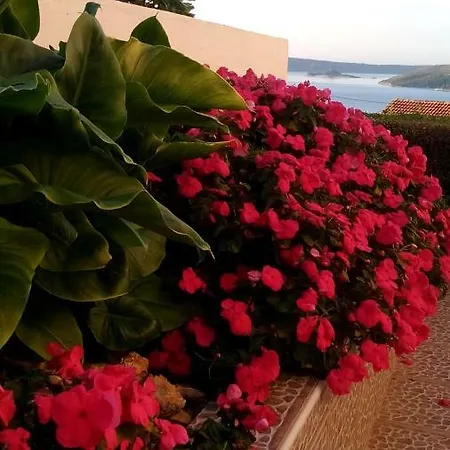 Blue Lagoon Apartmán *